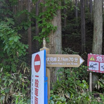 行ってきます！