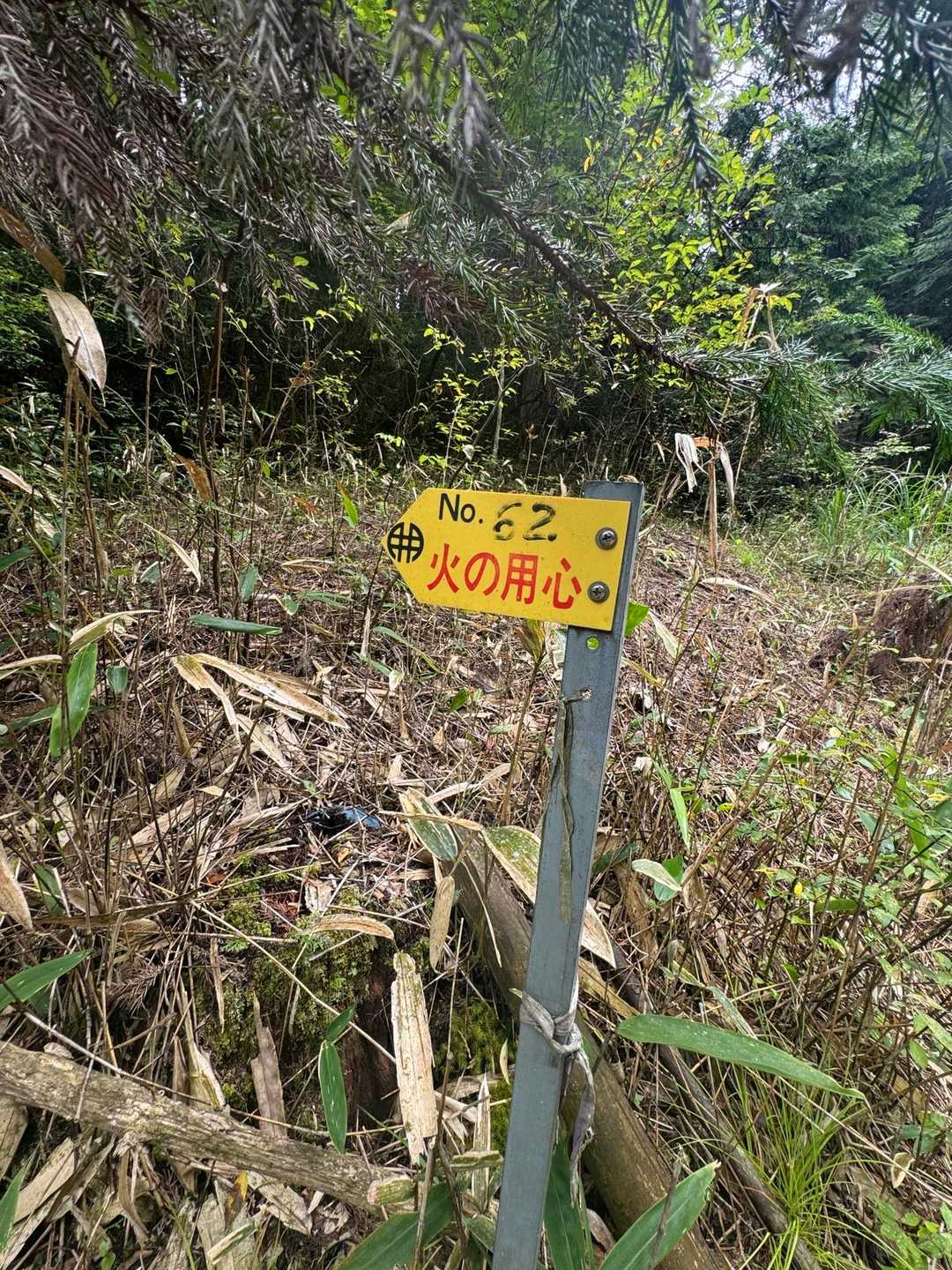 これが目印。
下に落ちてる杭が昔は登山口の看板だったっぽい