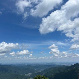 見るたびに変わるから、自然って素敵⭐︎