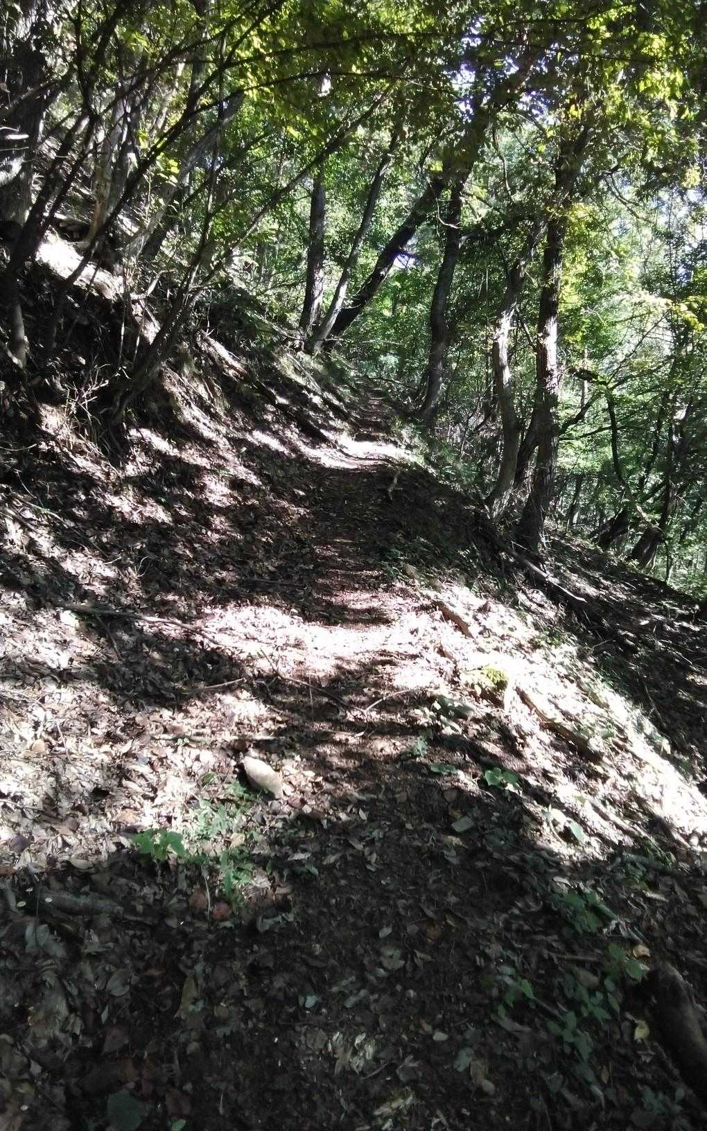 戸谷峰 往復コースの写真