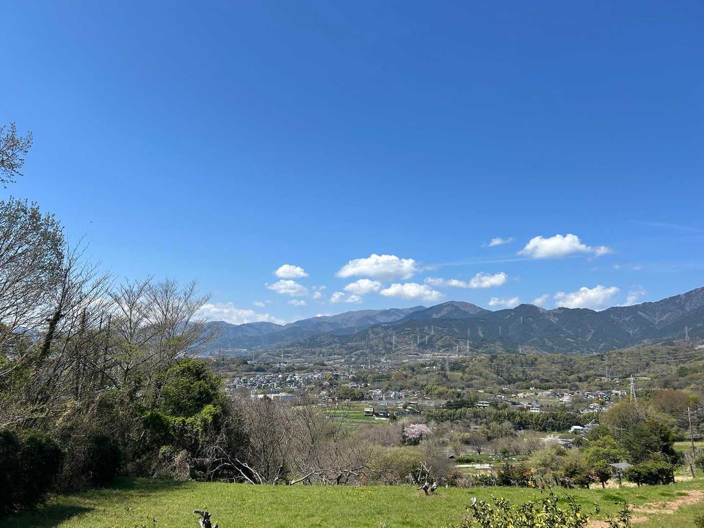 蓑毛バス停-蓑毛越-不動越-高取山-念仏山-善波山-善波峠 縦走コースの写真