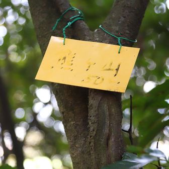 熊ヶ山
YAMAP1644座目