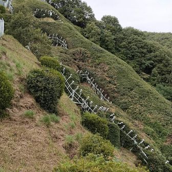 ここからじゃ錨には見えない
