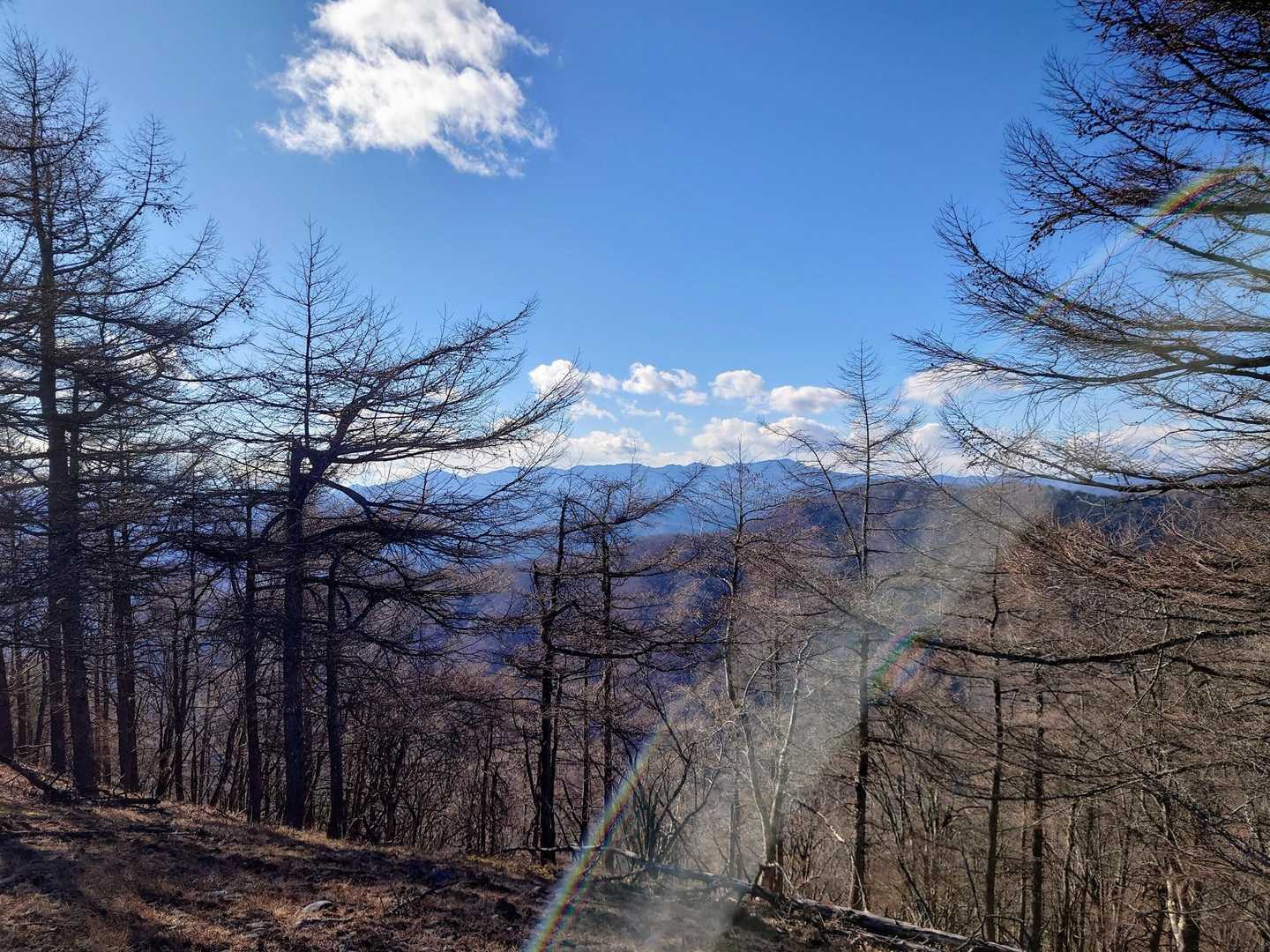 六ツ石山山頂から三頭山方面。