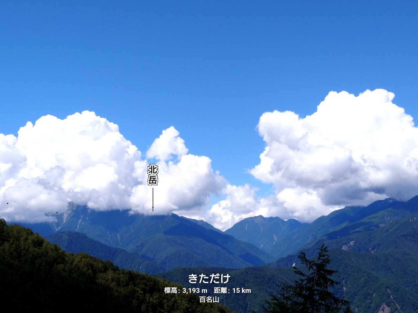 櫛形山周回 | 富士山や白峰三山を見渡す展望峰は、アヤメの大群落を抱く花の名山の写真