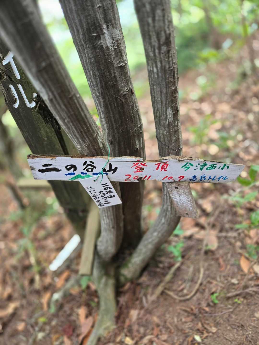 二の谷山 周回コースの写真
