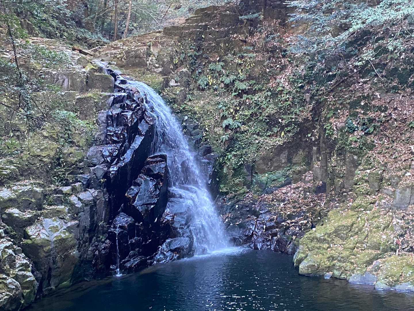 不動滝🏞️
高さ15mの名爆。
不動明王にちなんで名付けられたらしい。