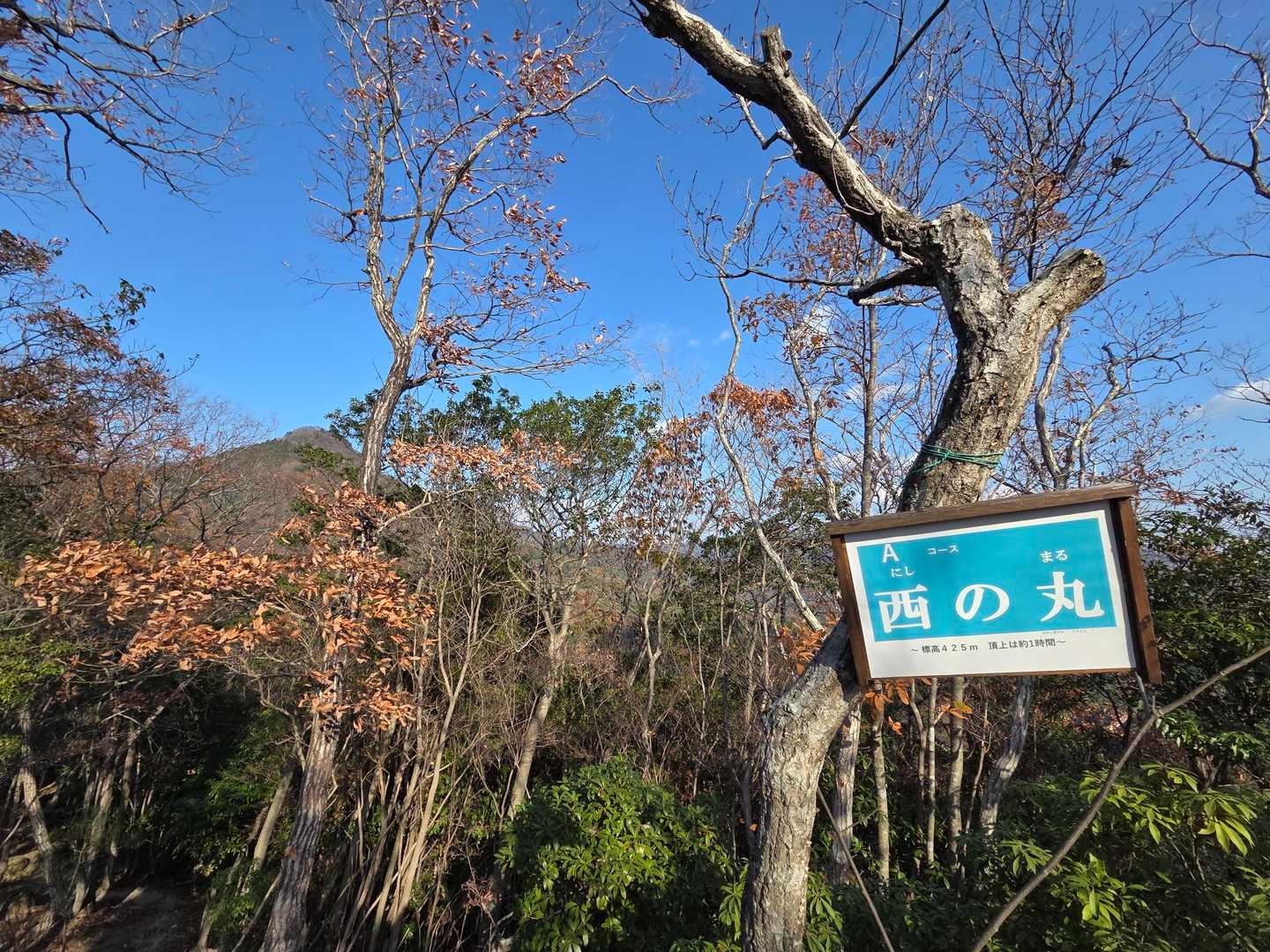 🙌
今日は4座でした👏