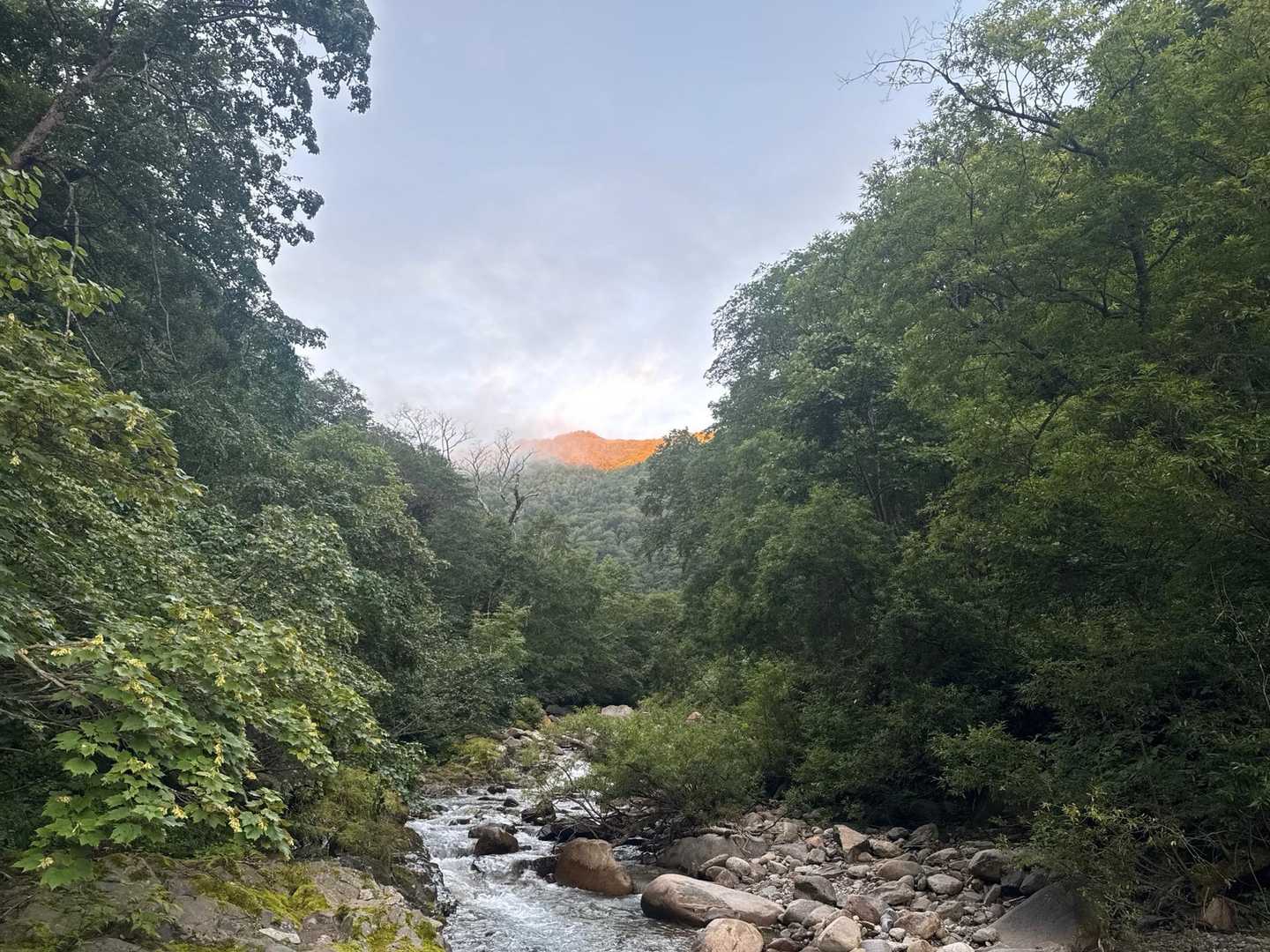 奥の山が赤く染まってます！テント泊の方はご来光🌅なんだろうななんて考えながら