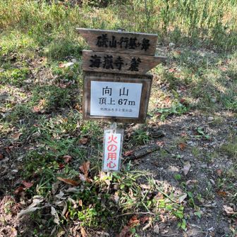10ピーク目