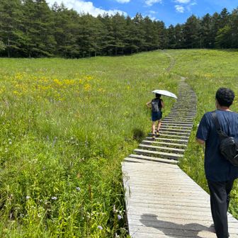 階段、これだけでヒィヒィ💦
また鍛えなきゃなぁ〜