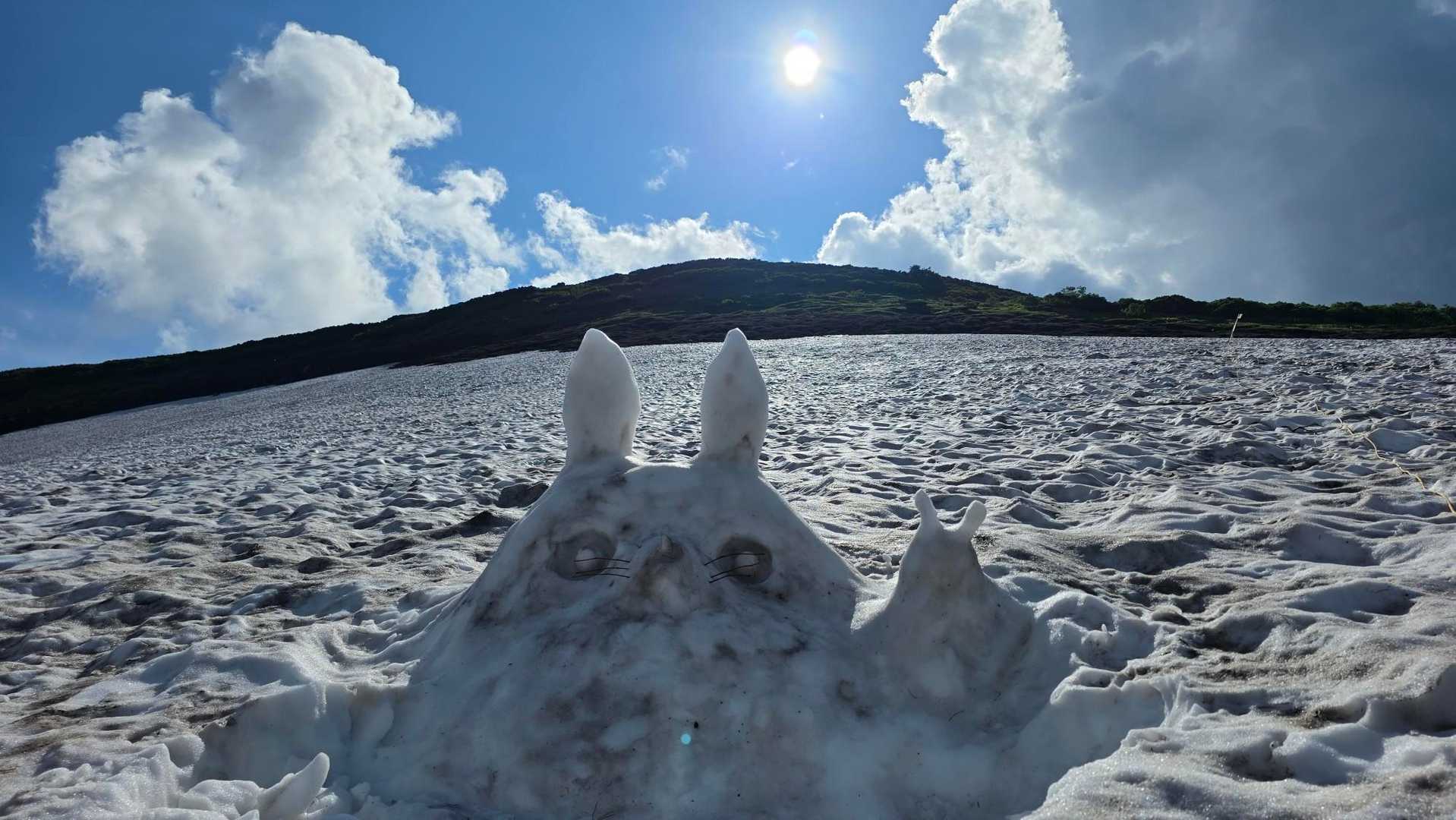 わぁ∑(*ºㅿº* )うそｯ!?
トトロがいたよー！
朝はいなかったのに、すごーい！！
