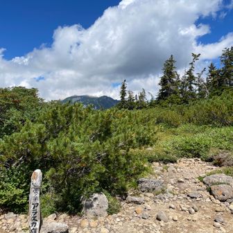 アラスカ庭園