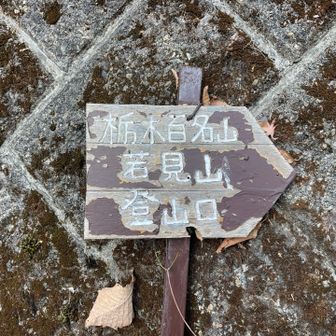 良く見ると、栃木百名山とある、山頂にもあってよ〜