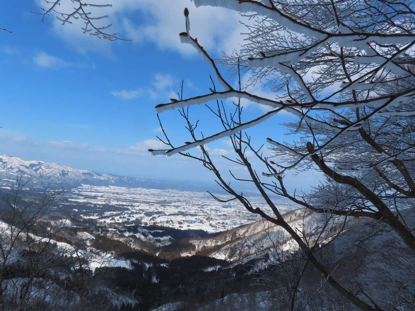 砺波平野かな