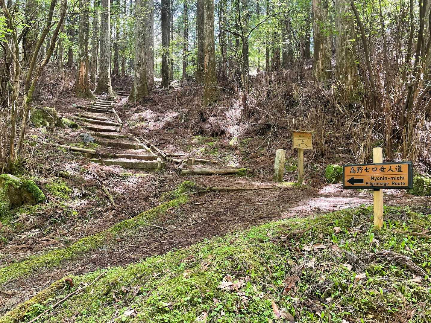 さて！最後のお山
【転軸山】にレッツゴー