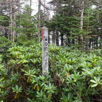 峰の松目に到着！！
何とかピークハントできたので、とりあえず良かったです(^-^)