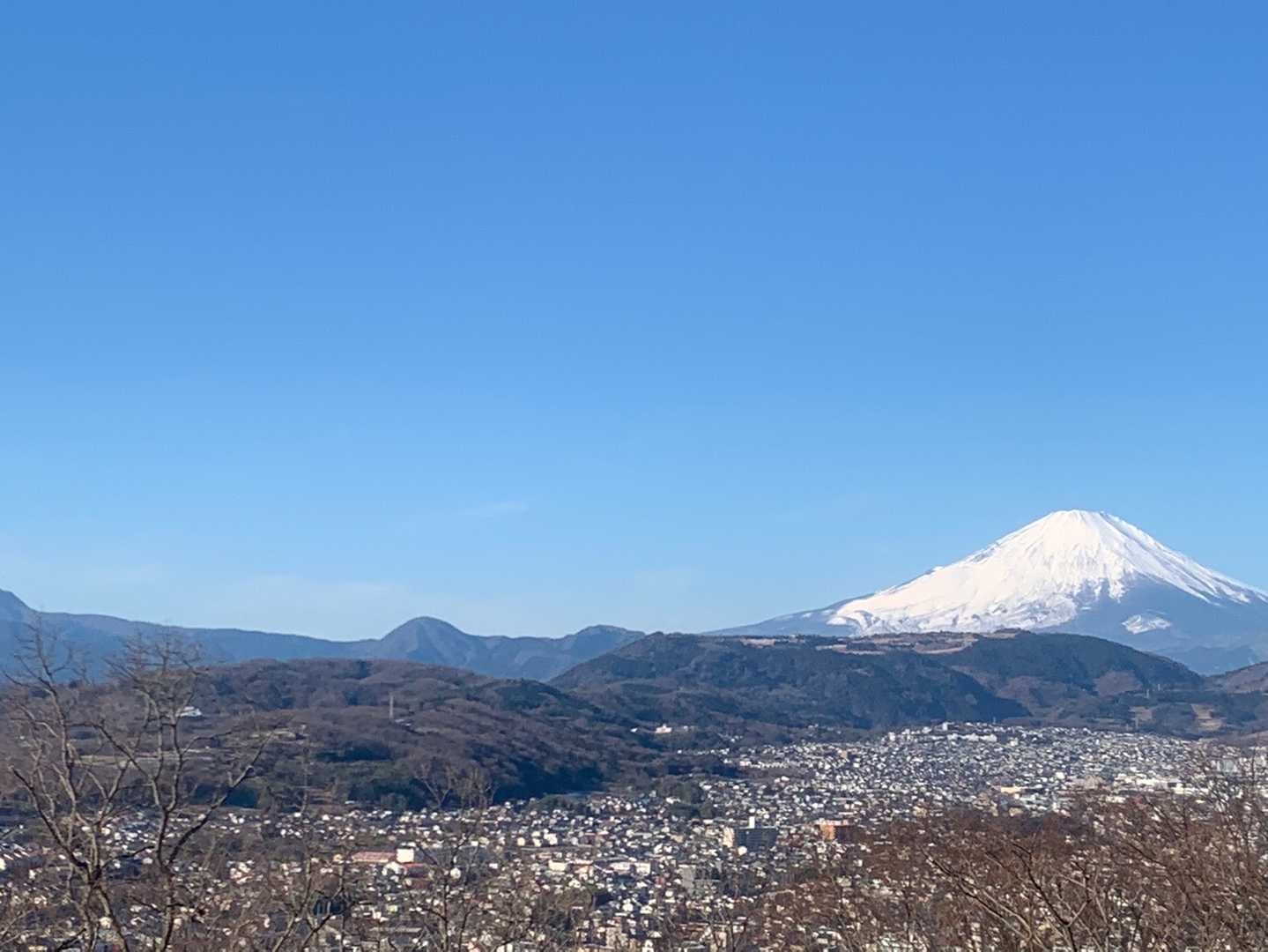 弘法山公園入口登山口-権現山 往復コースの写真