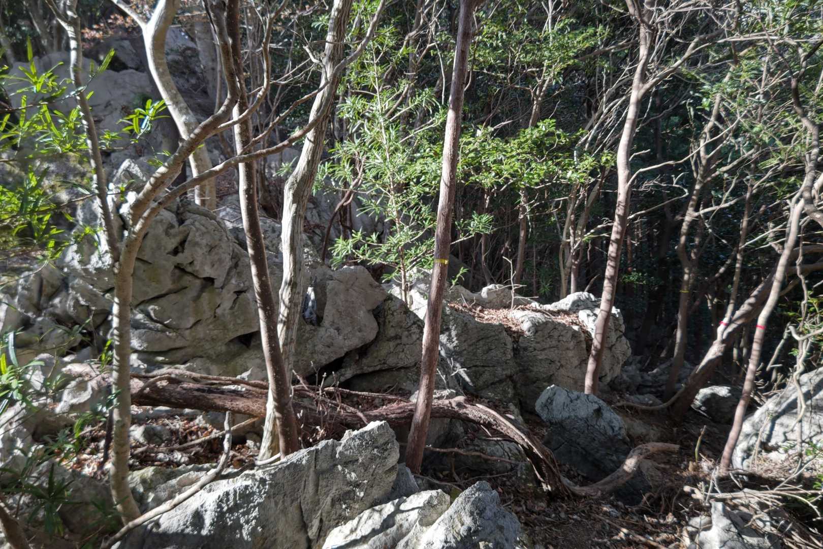 岩場沿いの登山道を歩くような感じです💨
