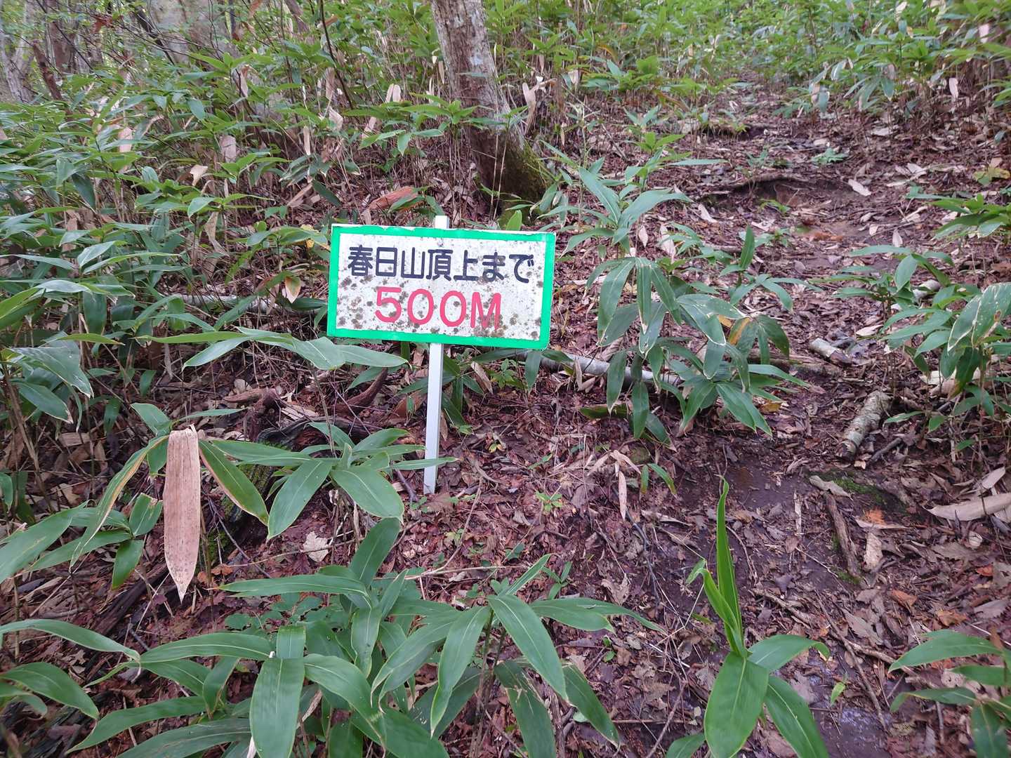 まだかよ！