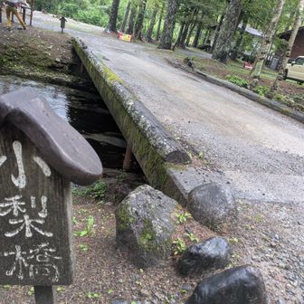 雨上がり