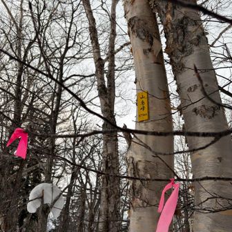 ここからカメラも片付けて真面目に歩く💨