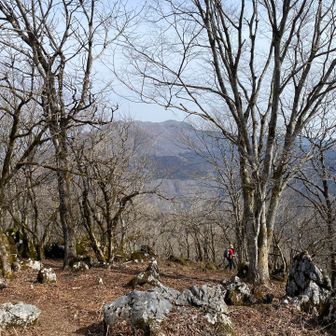 満足したので下山します🥾