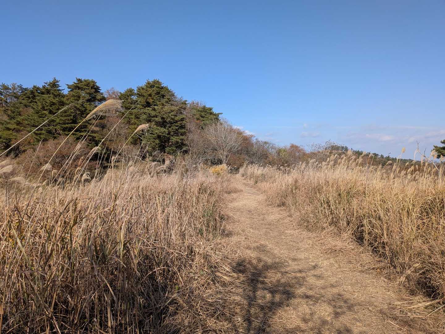 一旦降って、