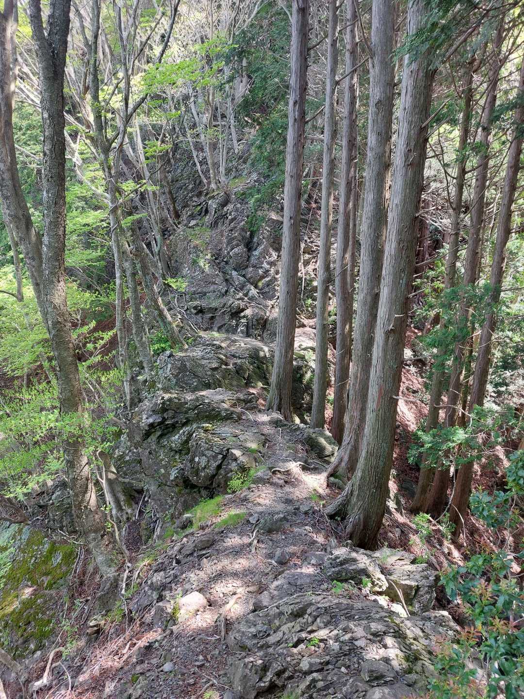 ここの岩場はアスレチックで面白い👍