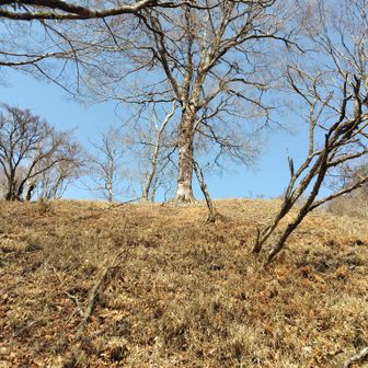 愛鷹山塊の稜線まであと少し💪