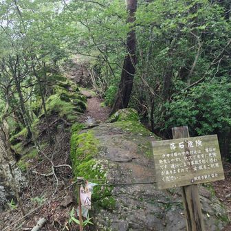 女坂から伊豆ヶ岳へ登頂。