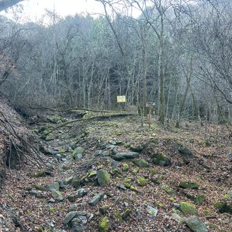 第二駐車場から崩れた林道跡を10分歩いた先が登山口。