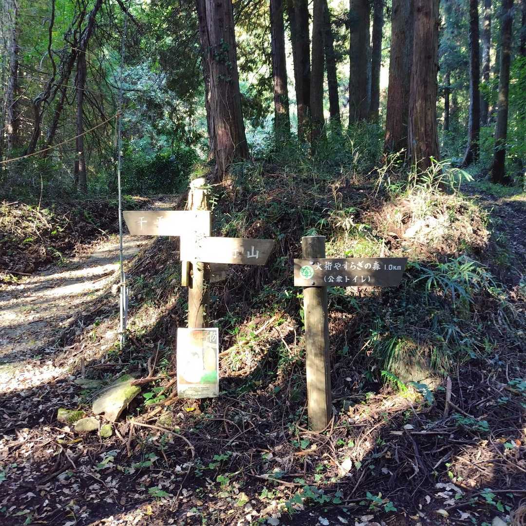 下仁田集落を抜け細い山道をちょこっと登れば登山口

車6台分スペース🅿️からスタート