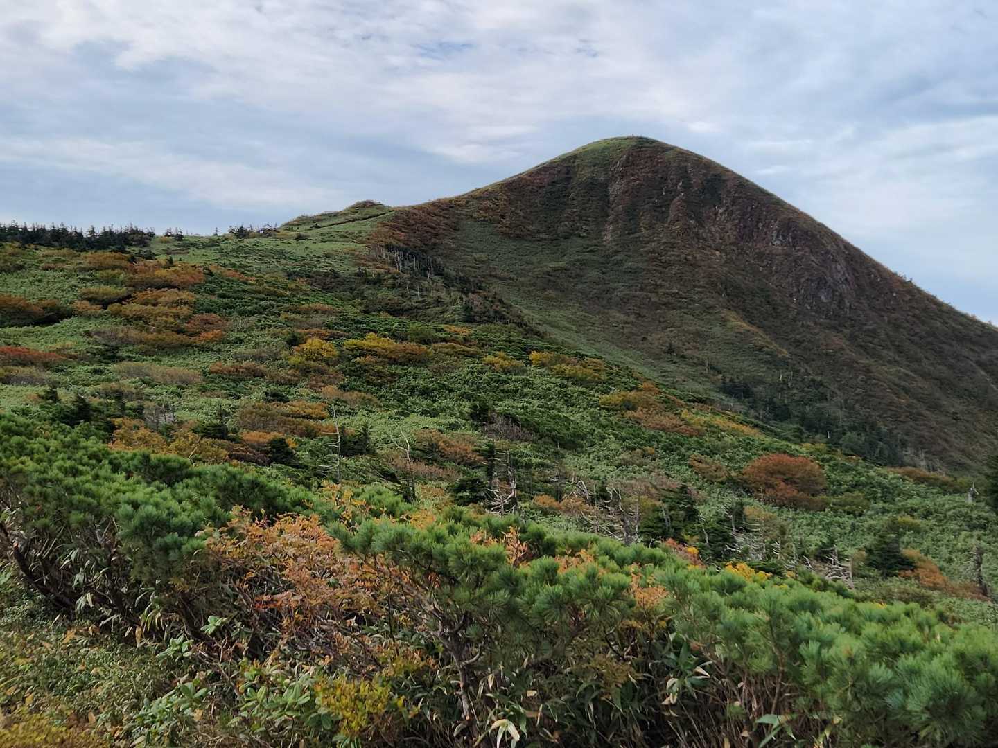 畚山、ちょっと紅葉っぽい