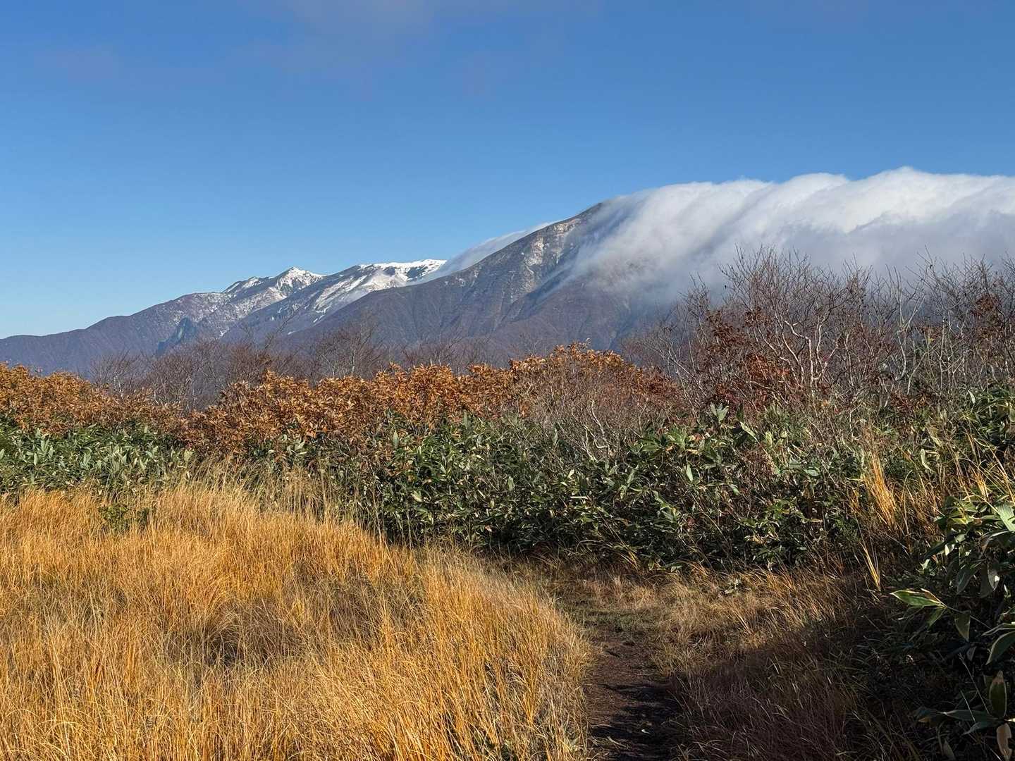 去年登った巻機山も山頂はもう真っ白ですね⛄️
