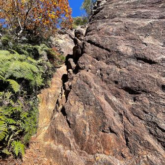 なかなか怖そうな感じ。