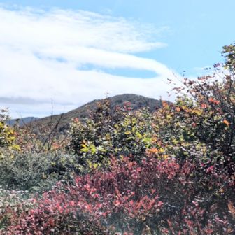 比婆山方面
