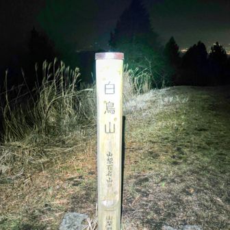闇夜に浮かぶ富士山を期待していたが 💧

今回の遠征、とりあえず山100・1座目。
「白鳥山」ゲット！