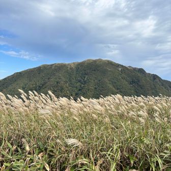すすきと山は最高😀
