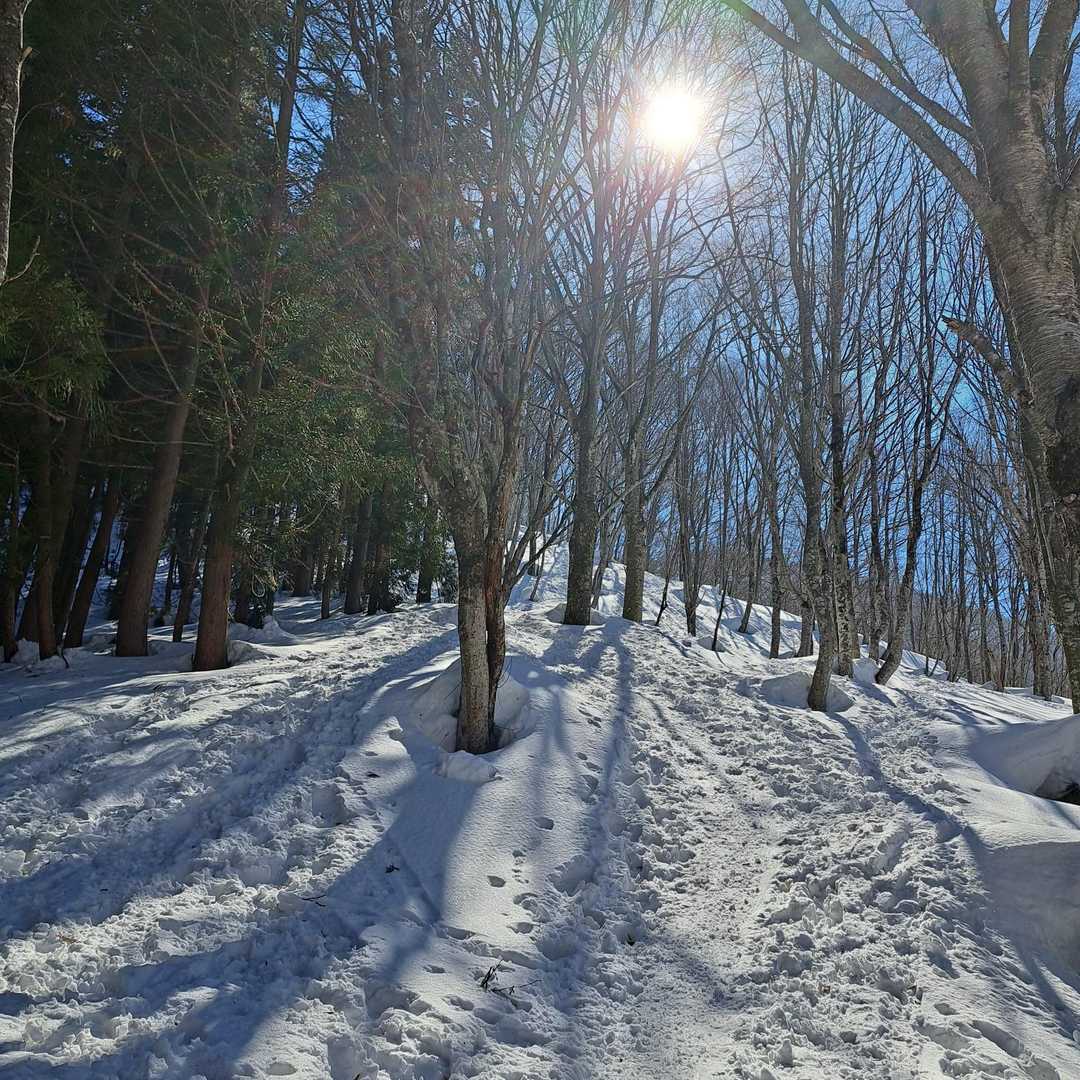 穏やかに下山