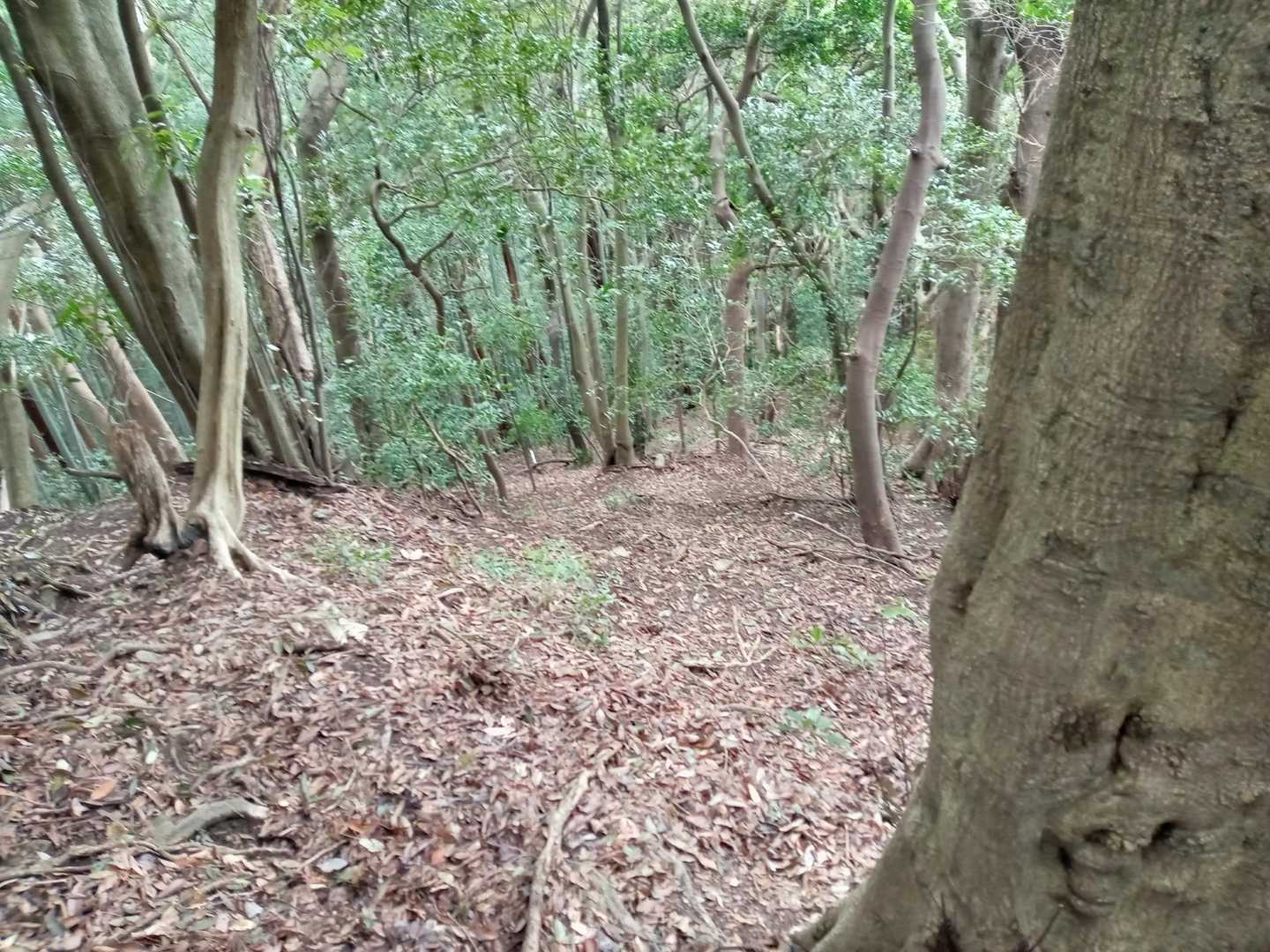 予習知らずで急登にやられる😱