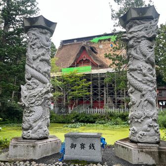 昇龍降龍。鏡池奥の三神合祭殿は屋根の葺替え工事中。
