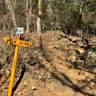 今日は2度目の男坂ルートへ💪