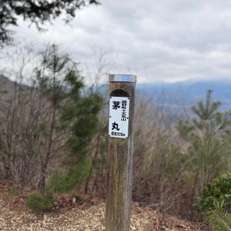 富士山🗻ポイントでしたが、見えず😅