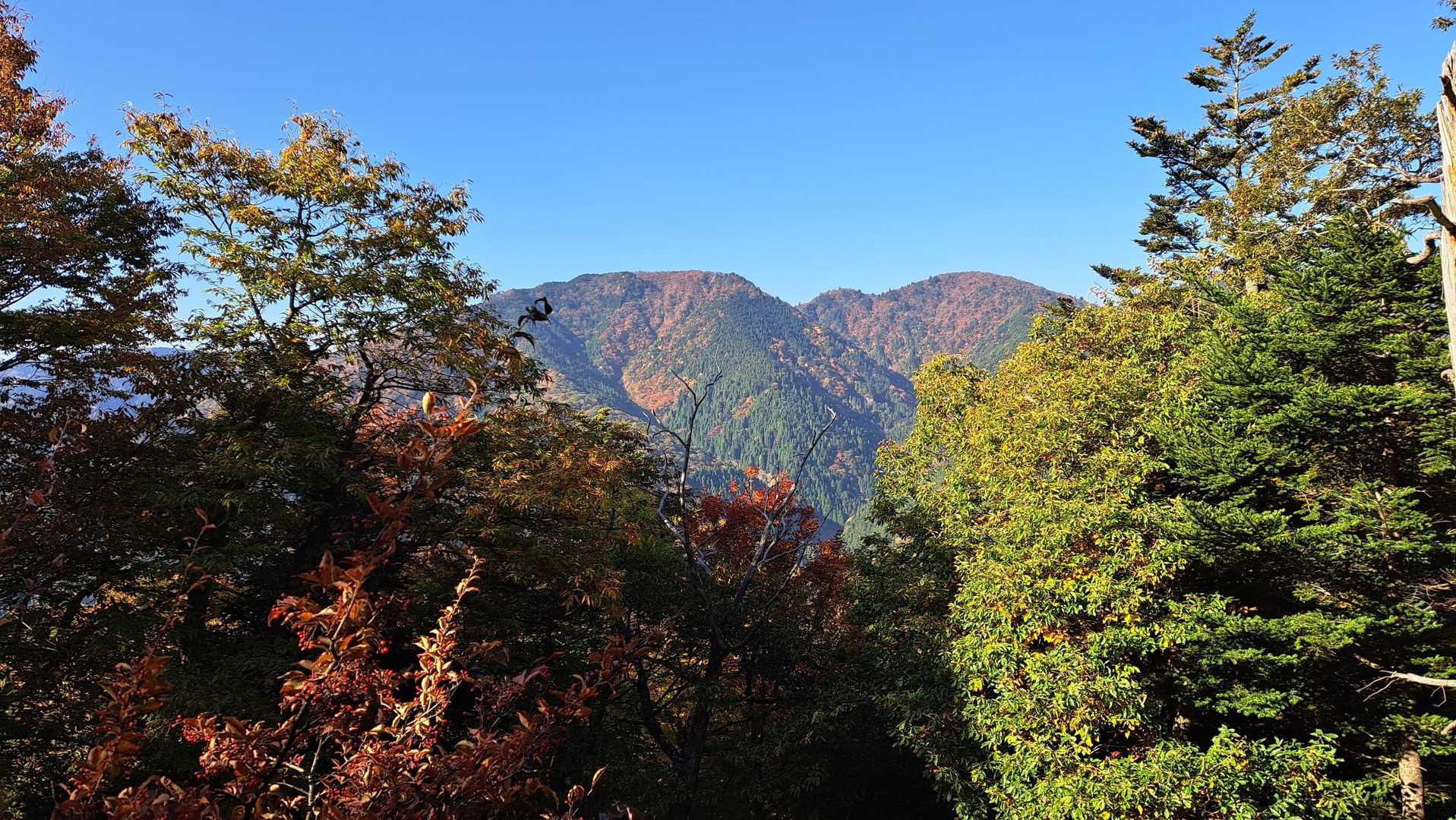 振り返ると　京都の山