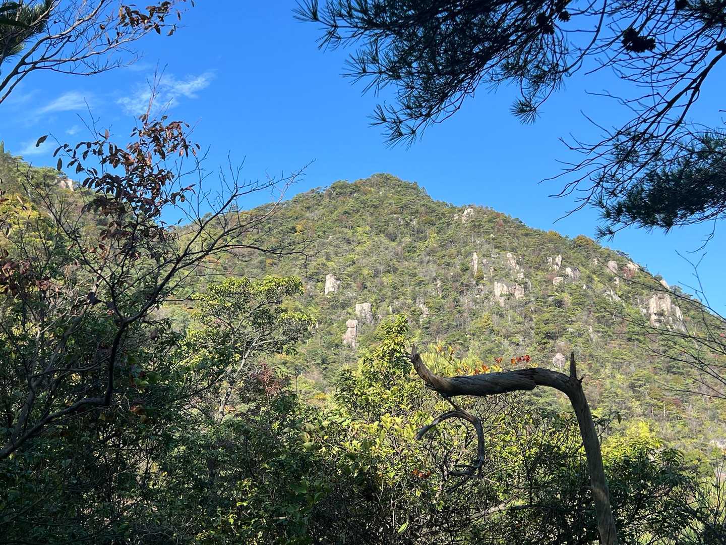 進行方向には、この後行く最初のピーク⛰️⁉️が青空に映えています♪^ ^