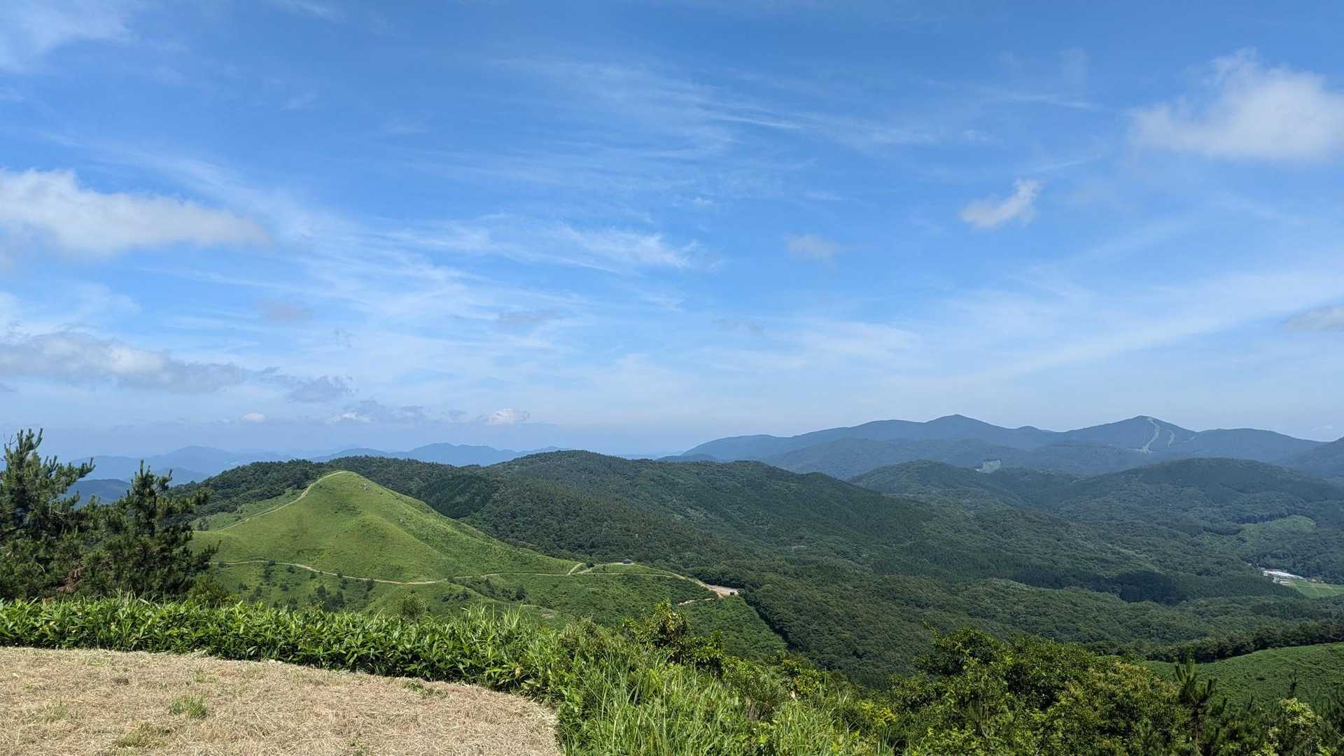 暑いわ