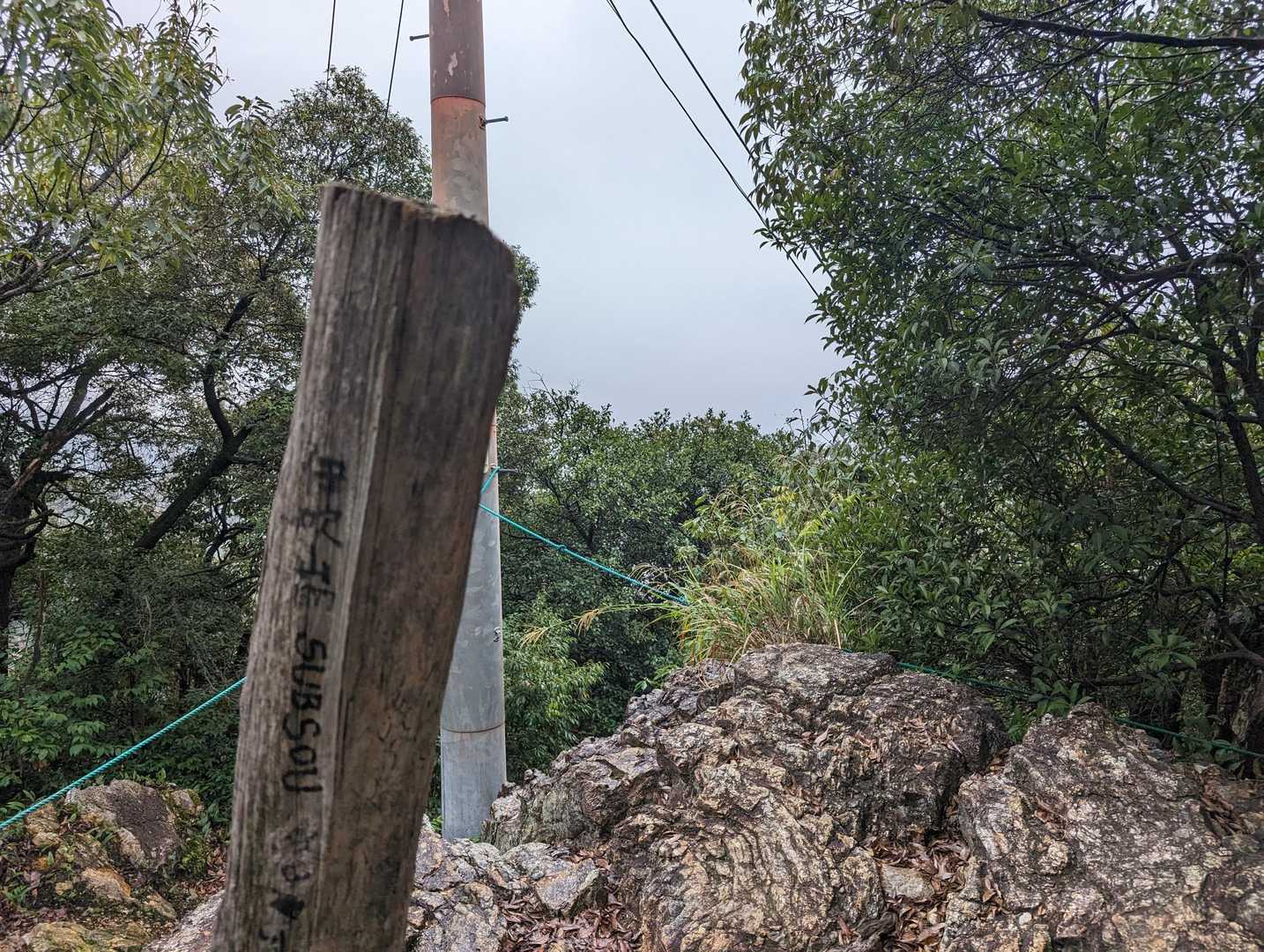晴れてたら伊吹山が見えるけど
なーんにも（笑）