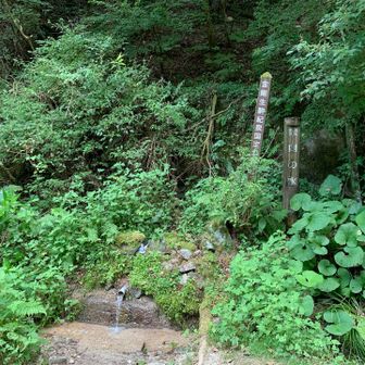 金剛の水です。