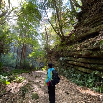 ナナナナなっつ